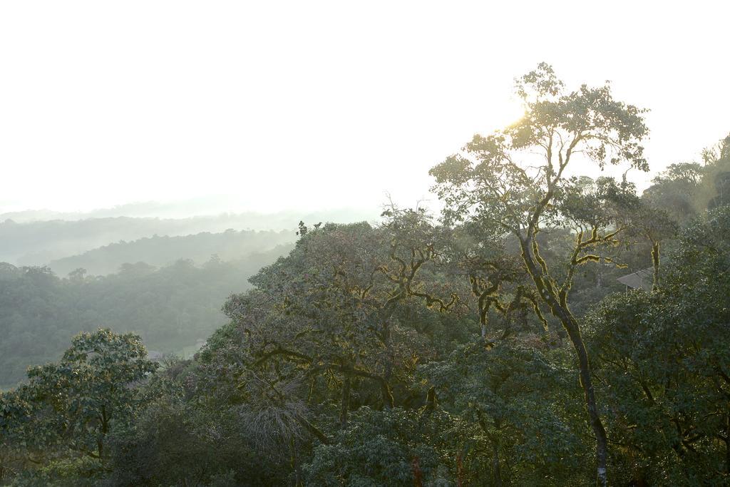 Taj Madikeri Resort & Spa Coorg Kültér fotó